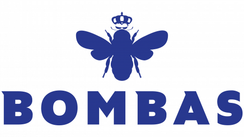 Ben's Beginning Coders